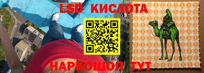прущие крисы Можга