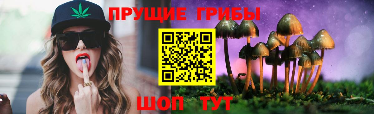 Галлюциногенные грибы Cubensis  Псилоцибиновые грибы Magic Shrooms  сколько стоит  Ульяновск  Вход с VPN 